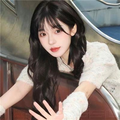 透明人与蝇男海报