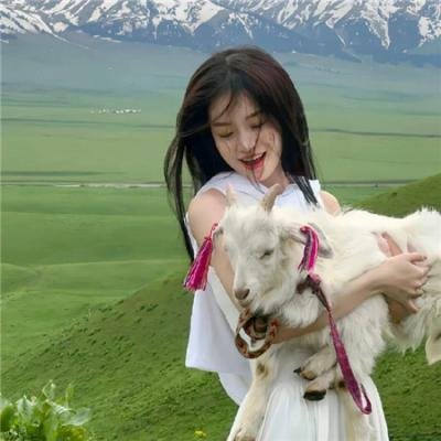 惊天奇案海报